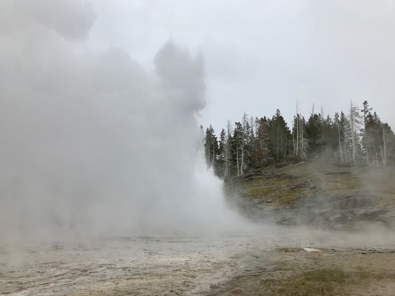YellowstoneNationalPark116