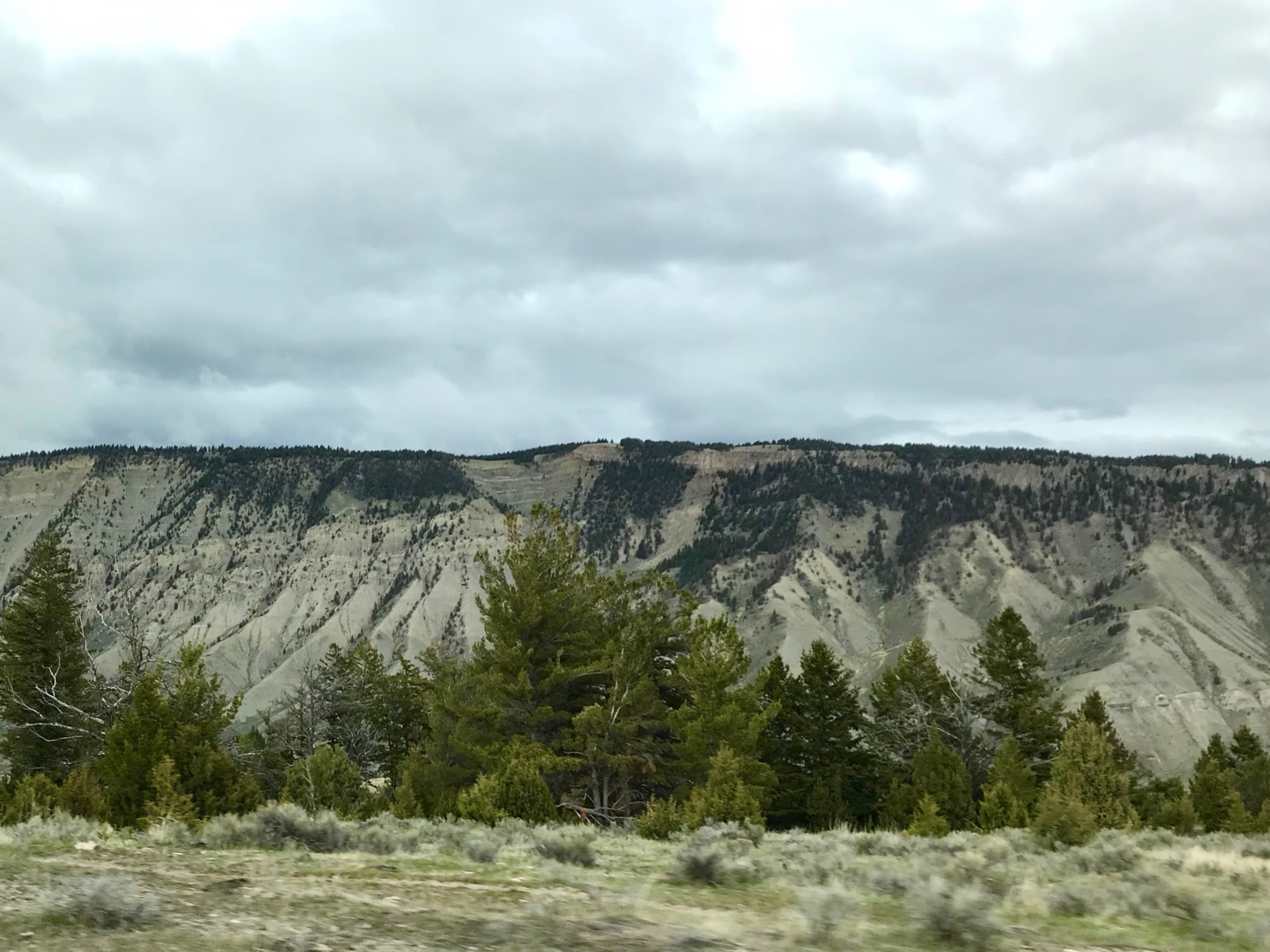YellowstoneNationalPark240
