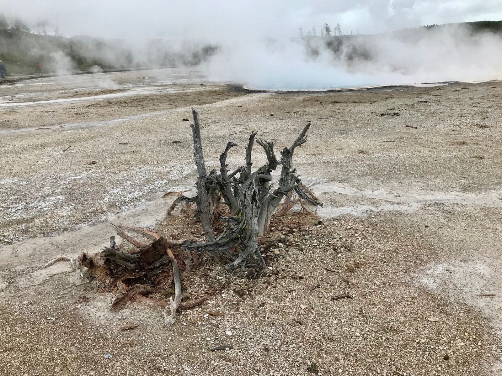 YellowstoneNationalPark30